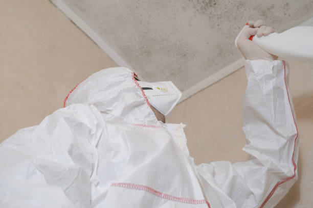 Professional Mold Remediation in Bronson, MI